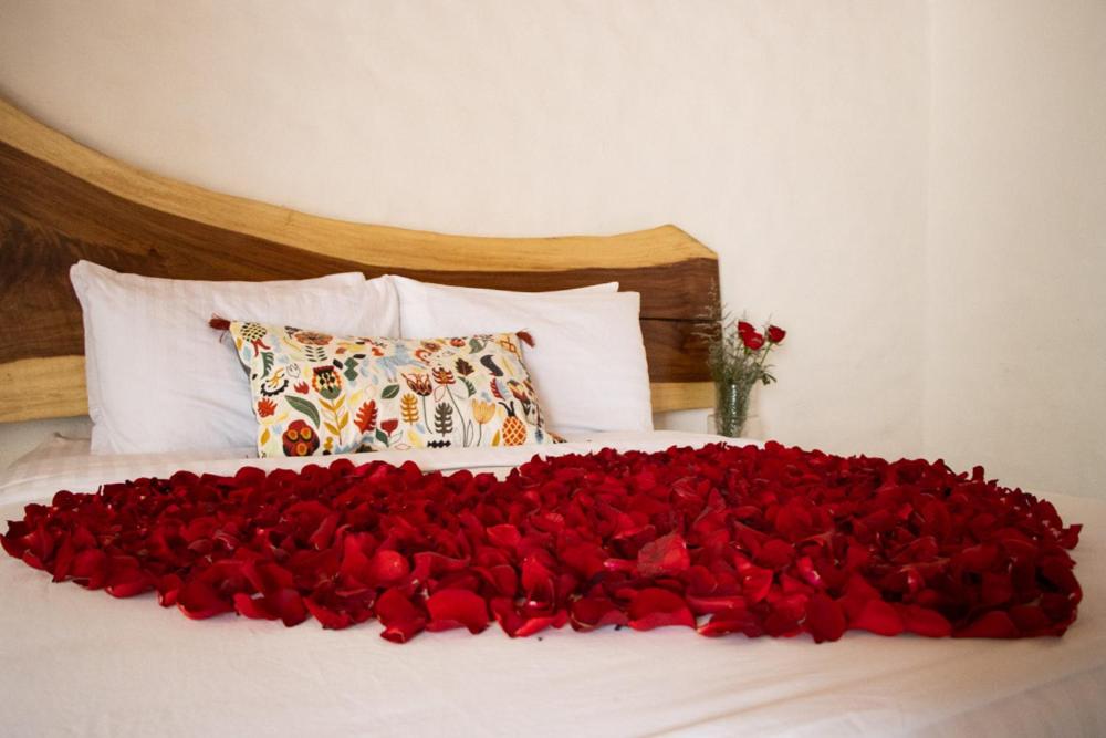 Hacienda San Patricio Room Type - Double Room with Terrace