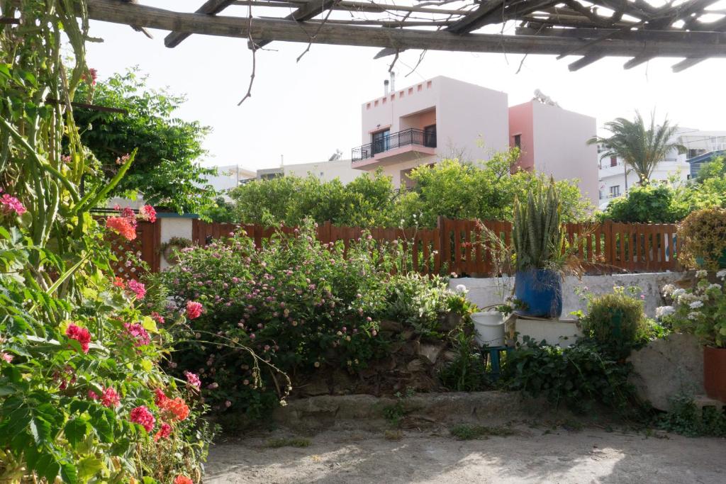 Porfyra's Island photo 1