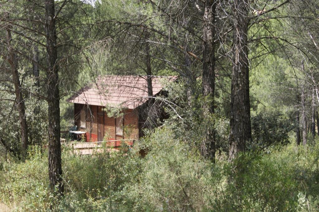 Apartamentos Rurales Sierra Luna photo 4