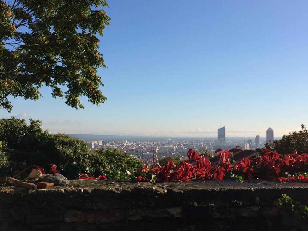 Le Jardin de Beauvoir photo 1
