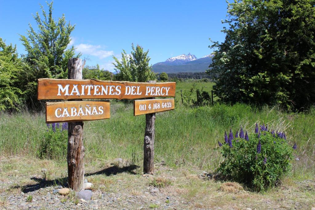 Maitenes Del Percy photo 1