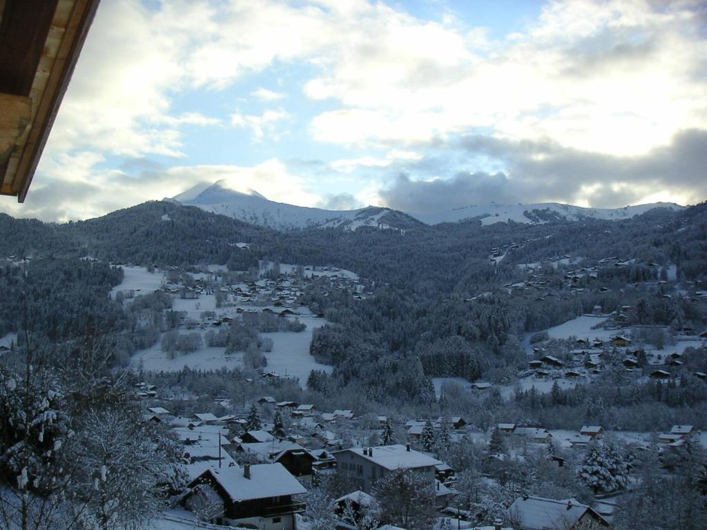 Chalet Marie Blanche photo 1