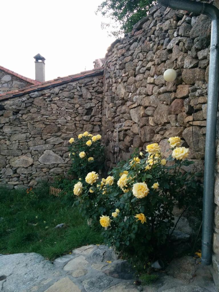 Casa Rural Almanzor photo 3