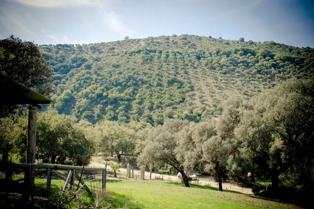Rancho Calvillo photo 2