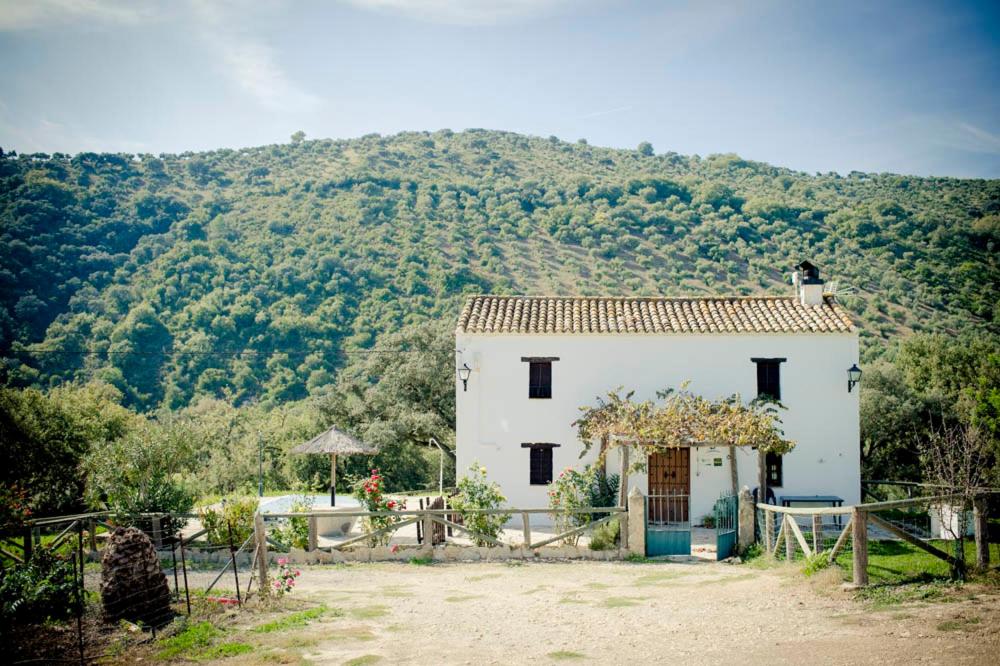 Rancho Calvillo photo 1