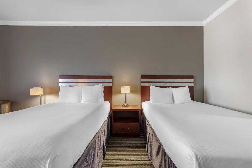 Best Western Plus Austin Airport Inn and Suites - Tap to explore photos