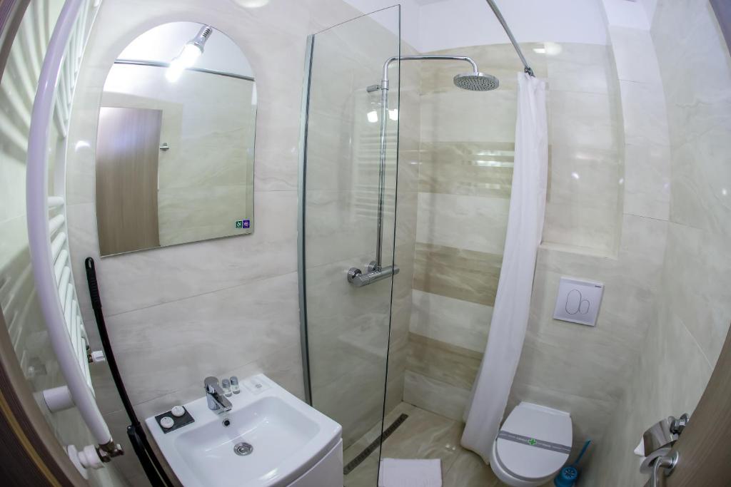 Апартаменты (Апартаменты Делюкс с 1 спальней), Iassium Residence Iasi