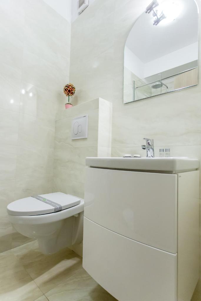 Апартаменты (Роскошные апартаменты с 1 спальней и террасой), Iassium Residence Iasi
