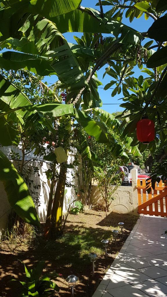 Location Marigot photo 2