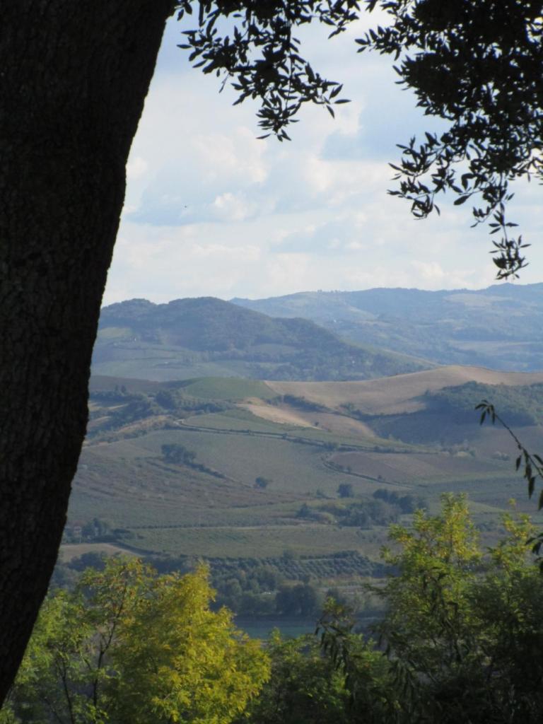 Tenuta Olmatello photo 3