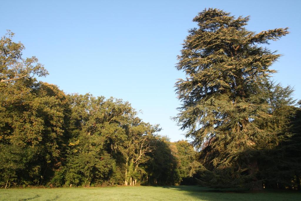 Aux Grilles Du Château photo 3