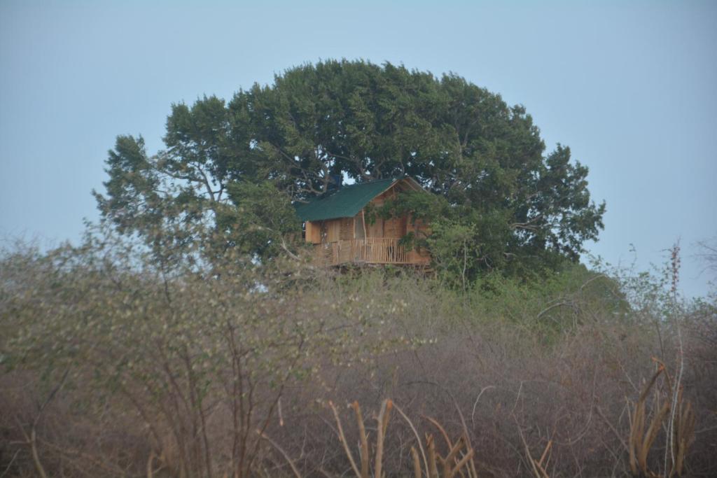Yala Dream Park photo 1