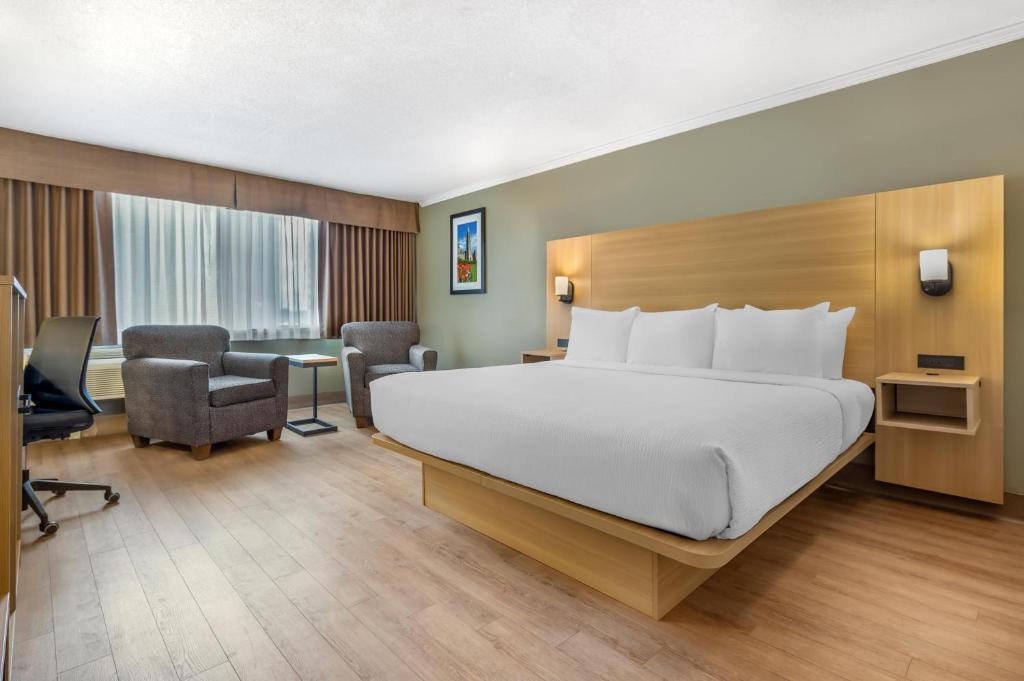Best Western Plus Ottawa City Centre Room Type - King Room