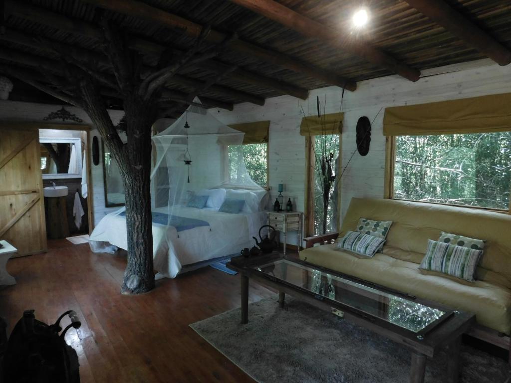 La Casa Del Arbol con pileta privada photo 2