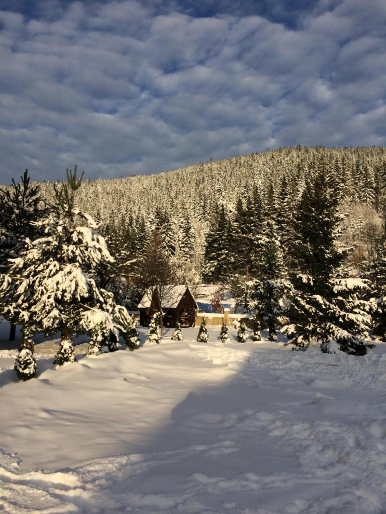 Zatin photo 1
