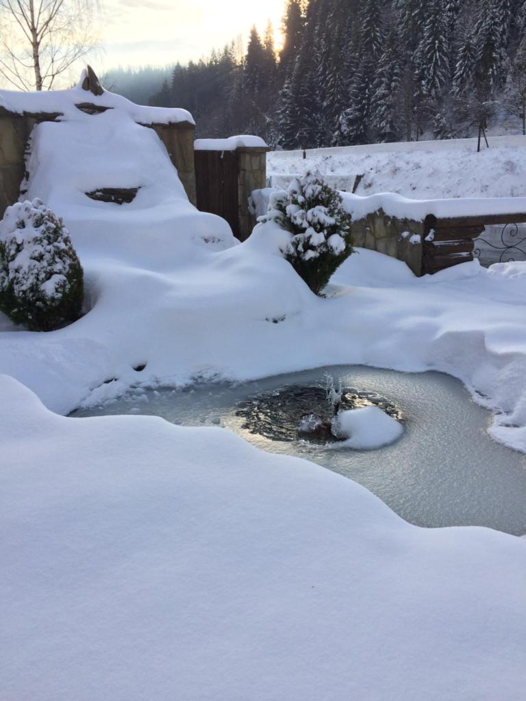 Zatin photo 4
