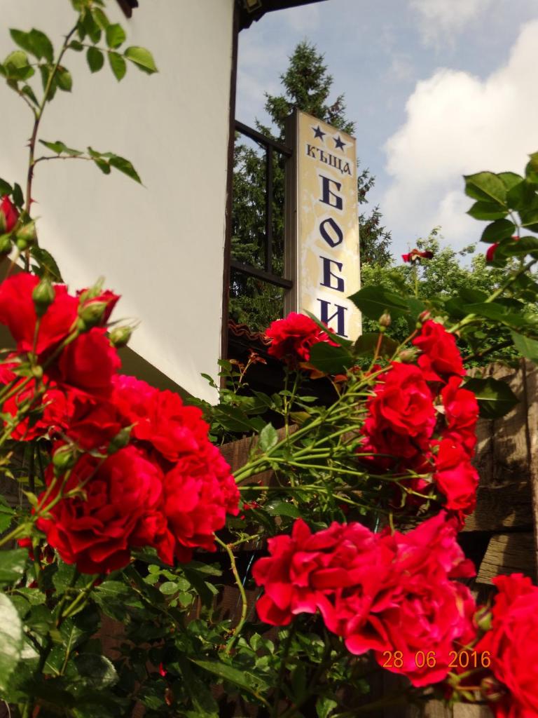 Bobi Guest House photo 3