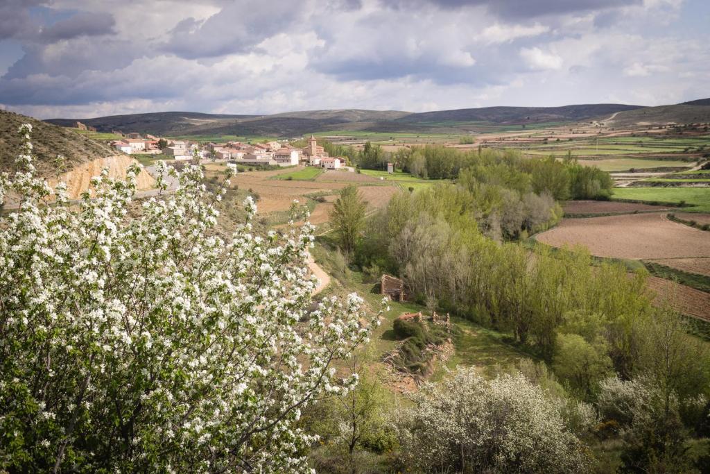 Fuentes de la Hoz photo 3
