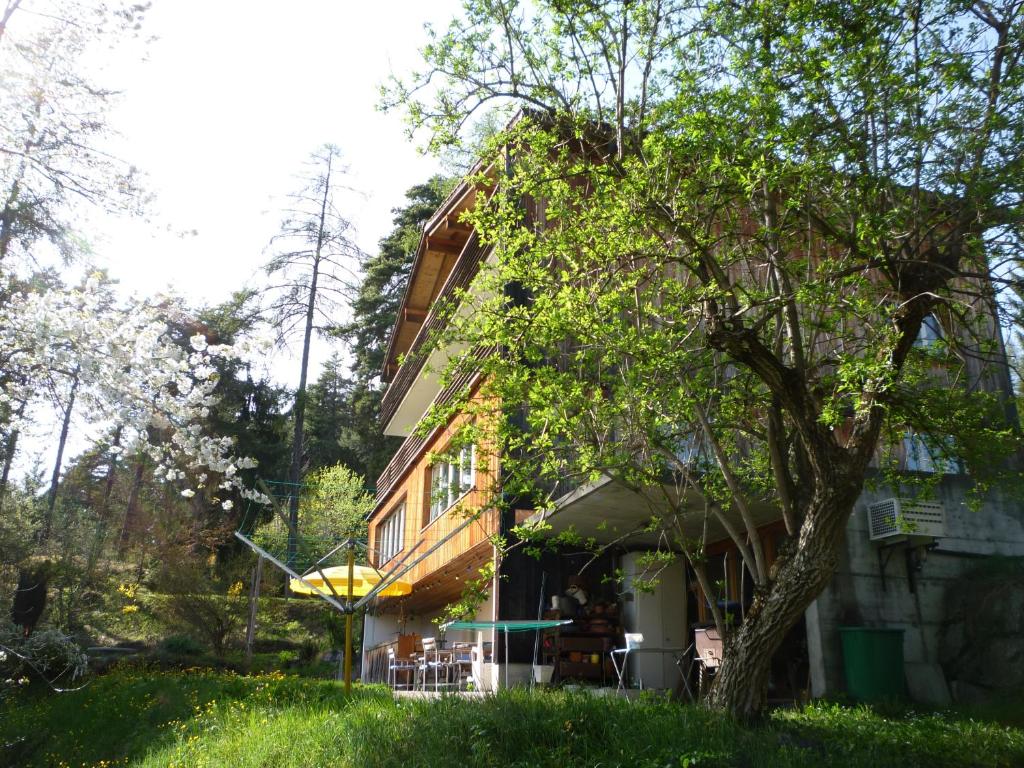 Pension Casa Selva photo 3