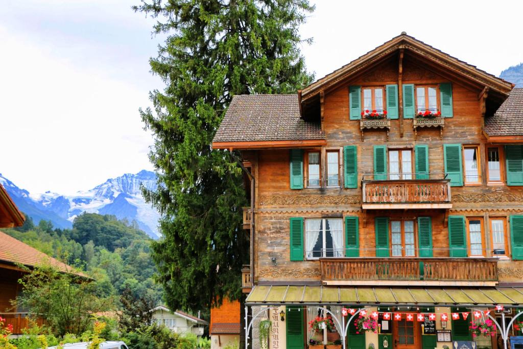 Edelweiss Lodge photo 4
