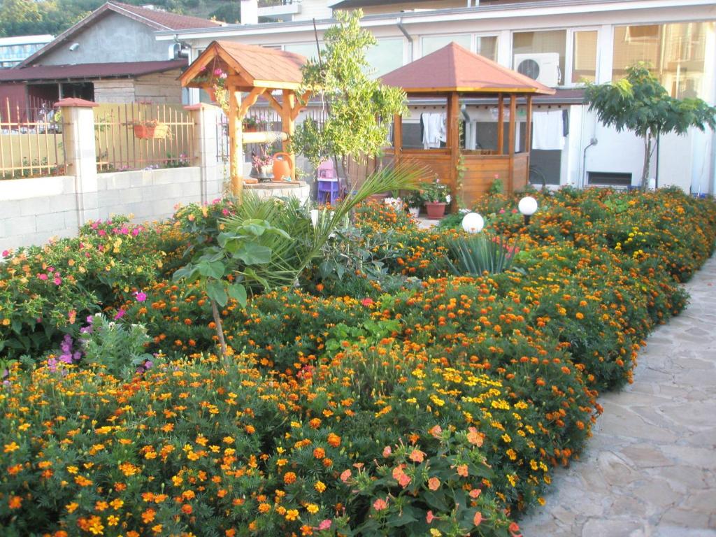 Hotel Morski Dar photo 4