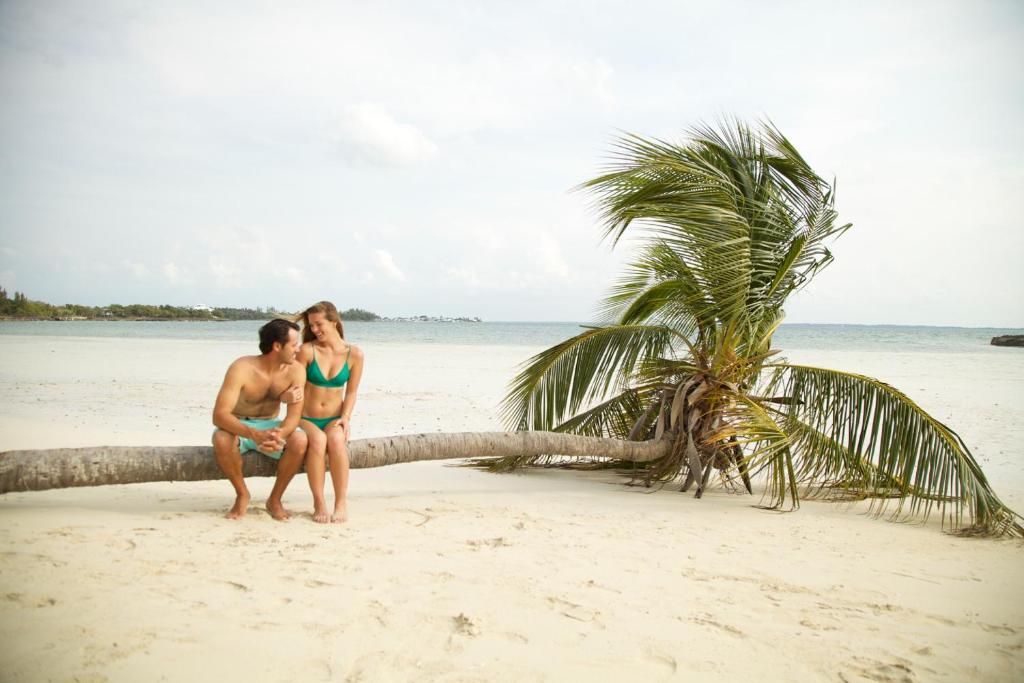 Green Turtle Club Resort & Marina photo 1