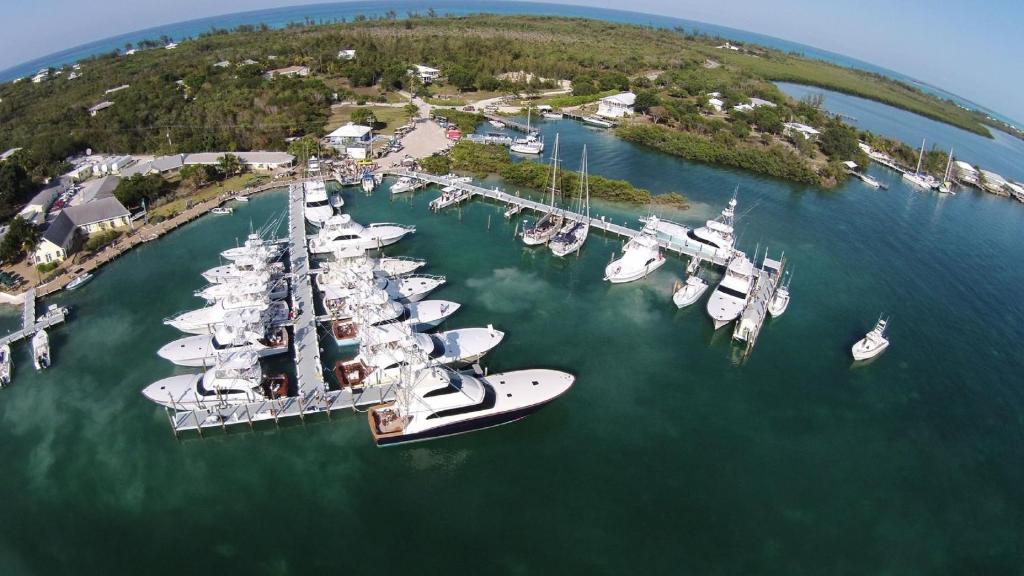 Green Turtle Club Resort & Marina photo 2