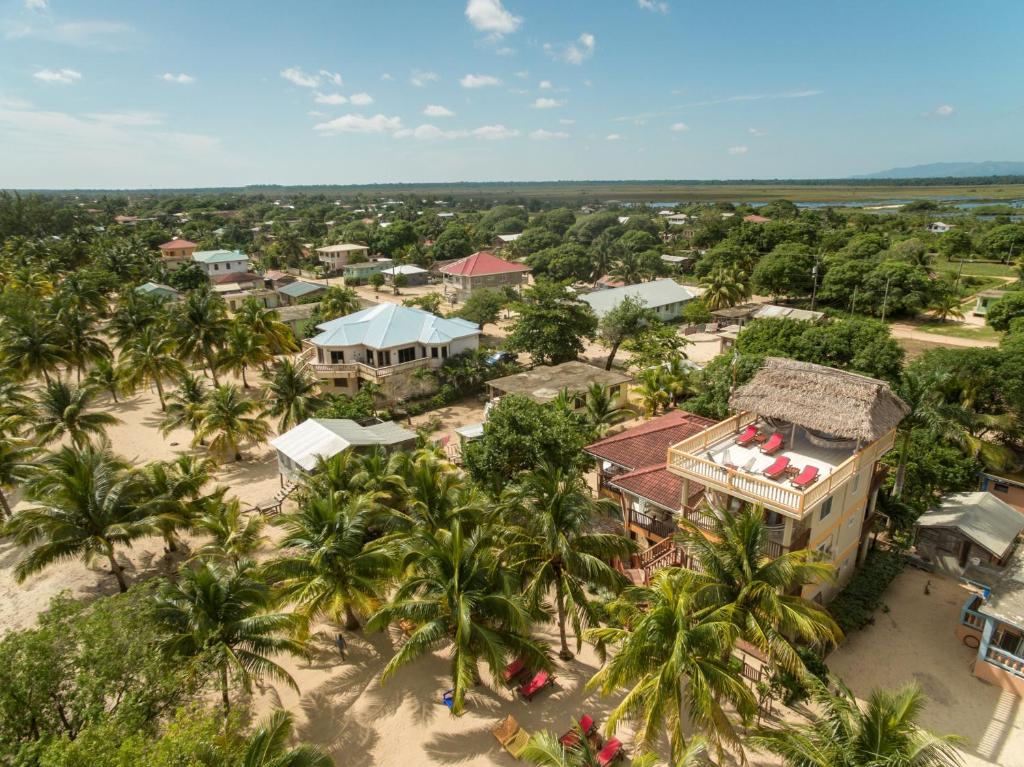 Buttonwood Belize photo 3