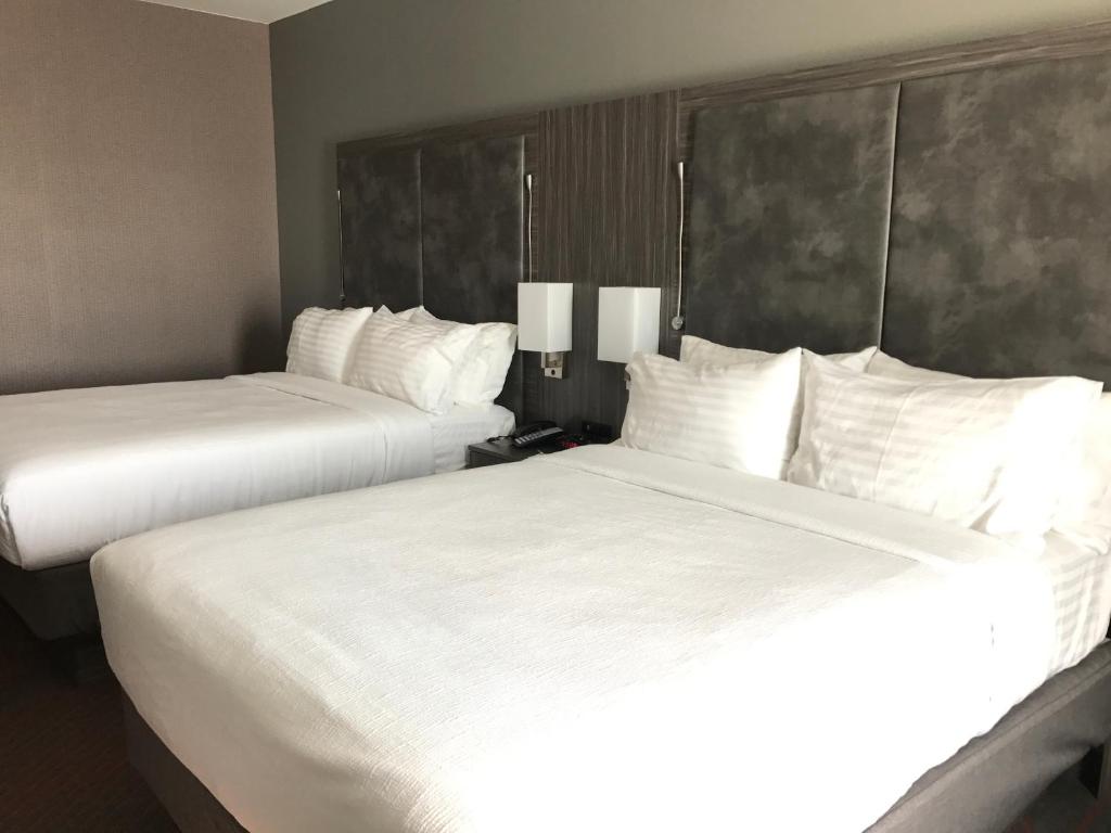 Holiday Inn Abilene - North College Area, an IHG Hotel photo 4