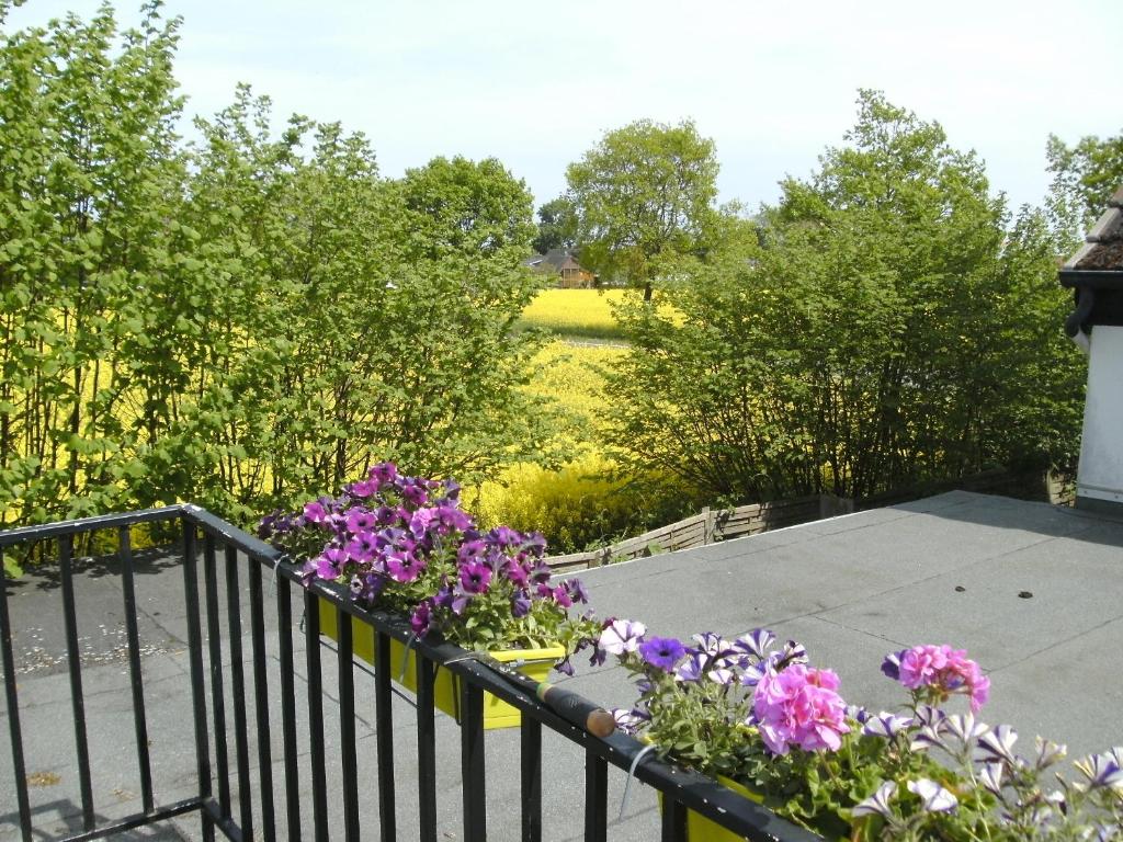 Ferienhaus am Fuchsberg photo 4