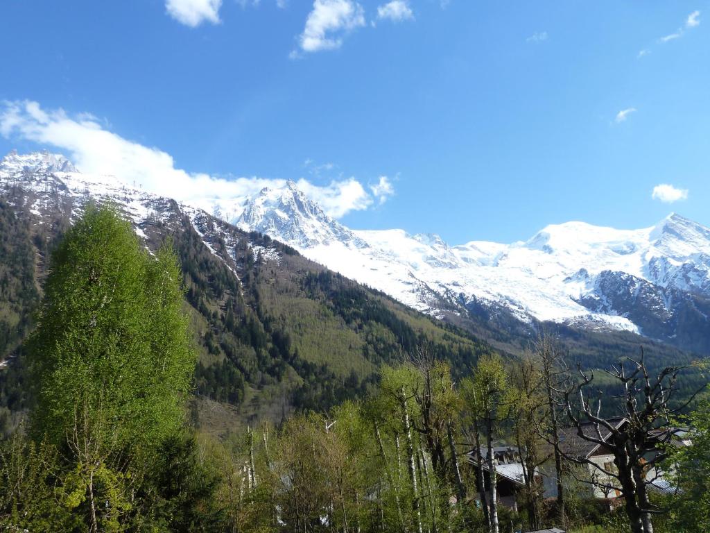 Апартаменты (Апартаменты с видом на горы), Chalet Apartment Chamonix