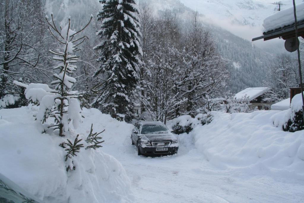 Апартаменты (Апартаменты с видом на горы), Chalet Apartment Chamonix