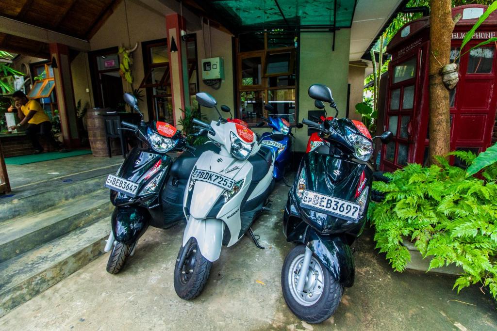 Семейный (Семейный номер Делюкс), Settle Inn Tourist Lodge