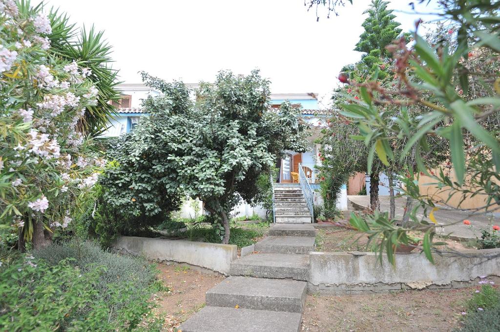 The Dream House in Sardinia photo 1