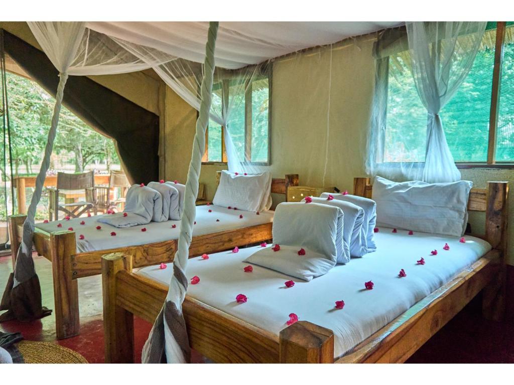 Migunga Tented Camp - Tap to explore photos