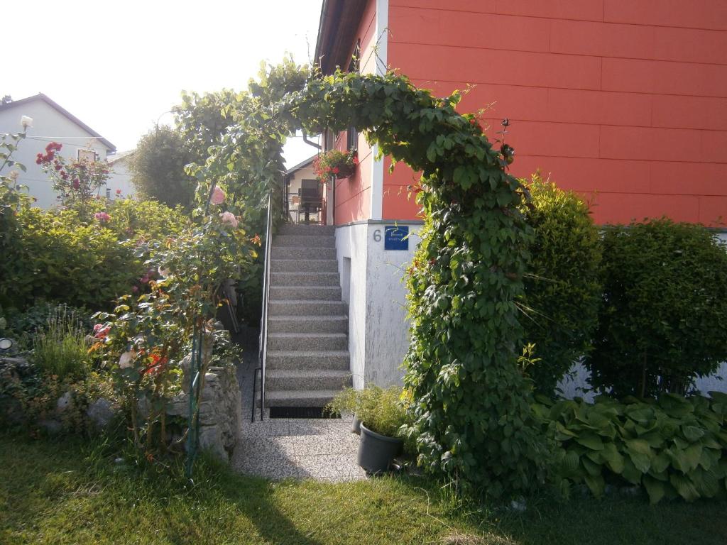 Apartment Darinka photo 1
