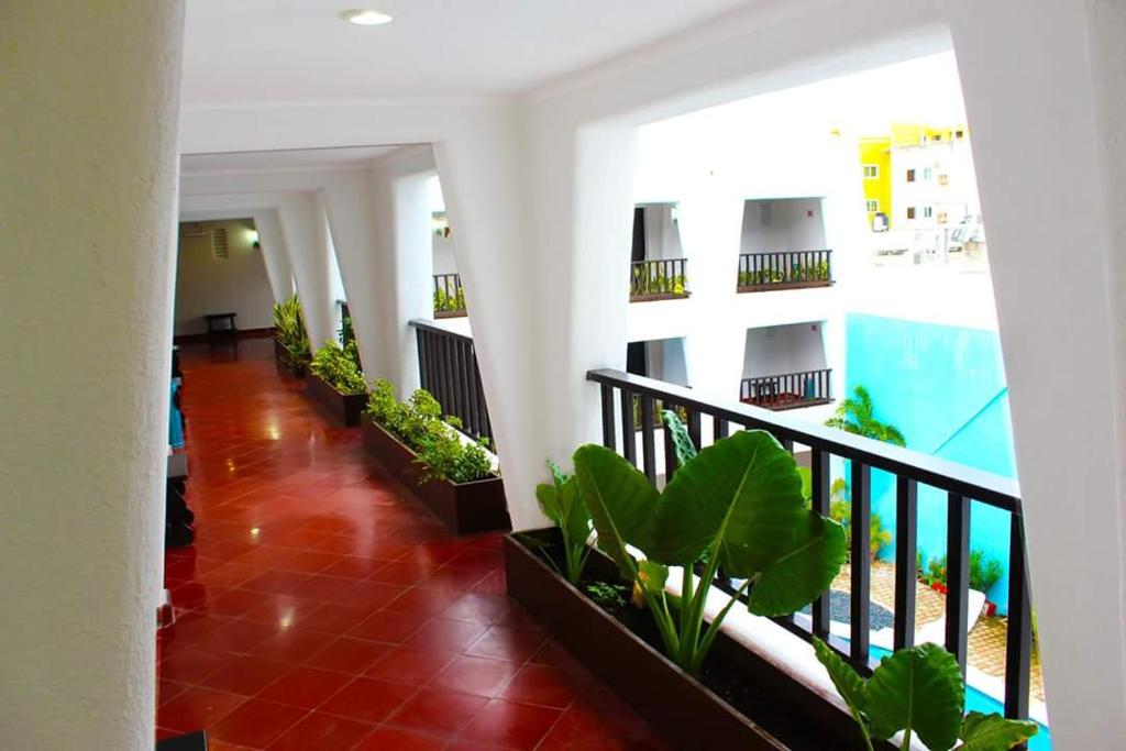 Двухместный (Номер с кроватью размера «king-size»), Hotel Berny