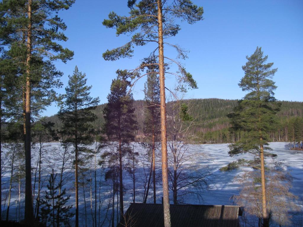 Kolin saunaharju photo 3