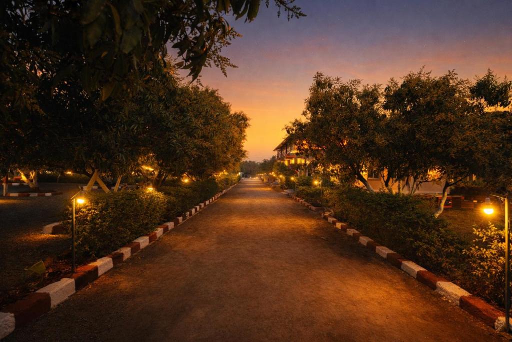 AamraKunj Gir Resort photo 4