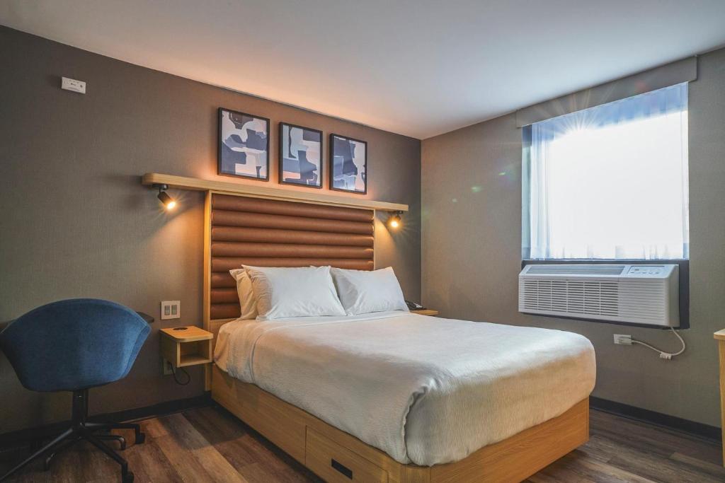 Best Western Plus Montreal Downtown- Hotel Europa Room Type - Standard Room
