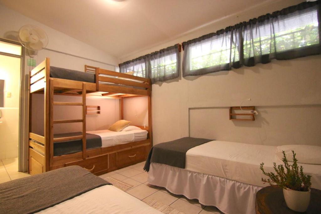La Bicicleta Hostal photo 3