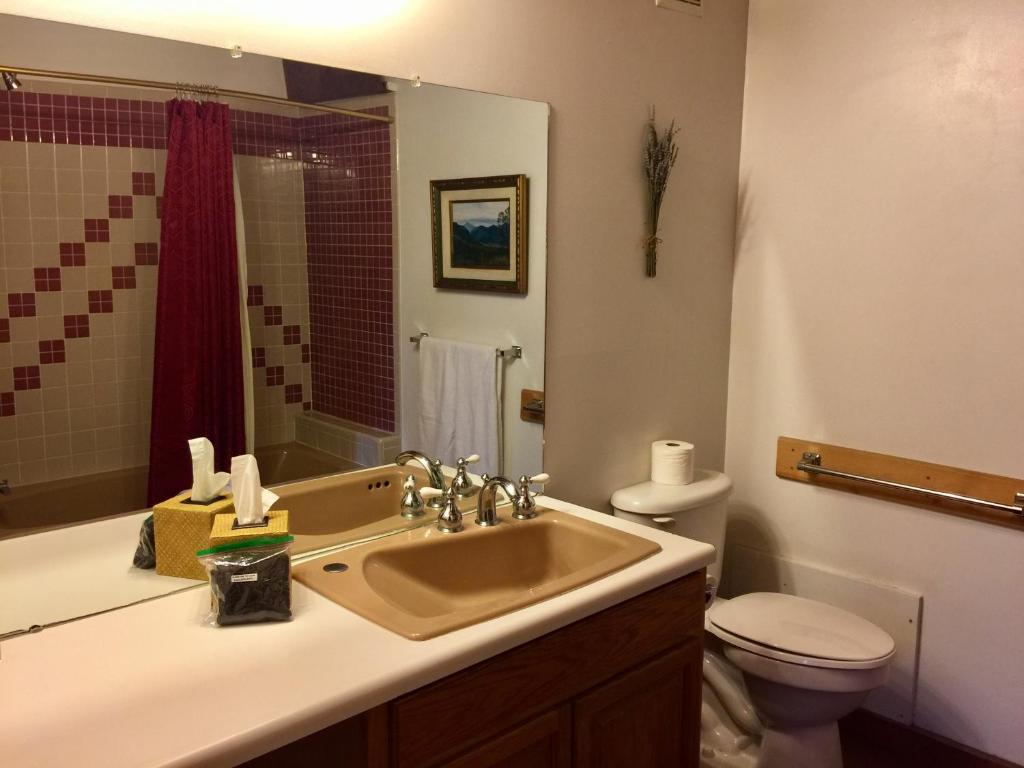 Guadalupe Inn Room Type - Luxury Single Room