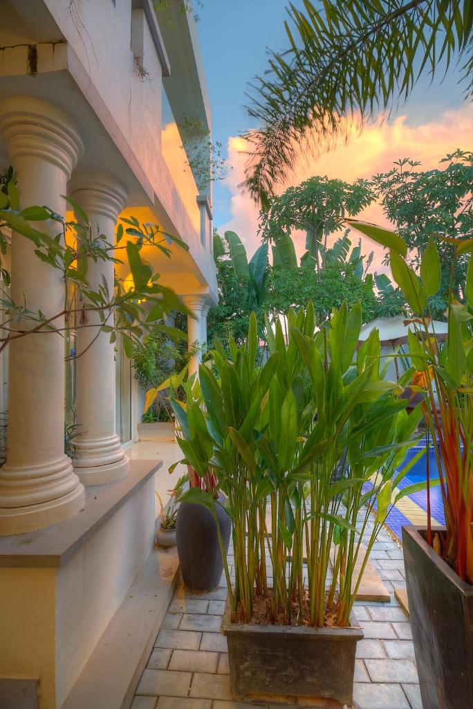 Angkor Sweet Night Hotel photo 3