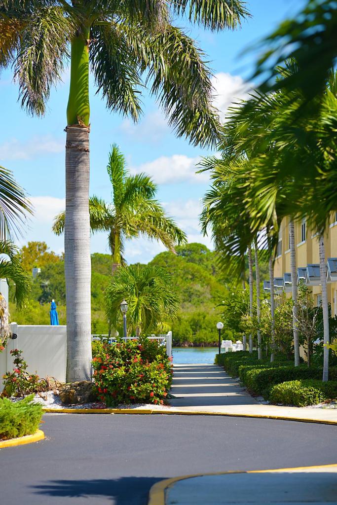 Barefoot Beach Resort photo 4