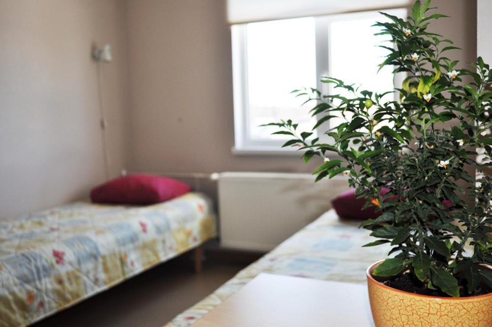 Haapsalu Kutsehariduskeskuse hostel photo 1