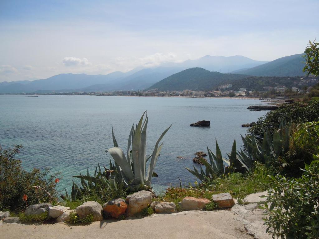 Stalida Holiday Home photo 3