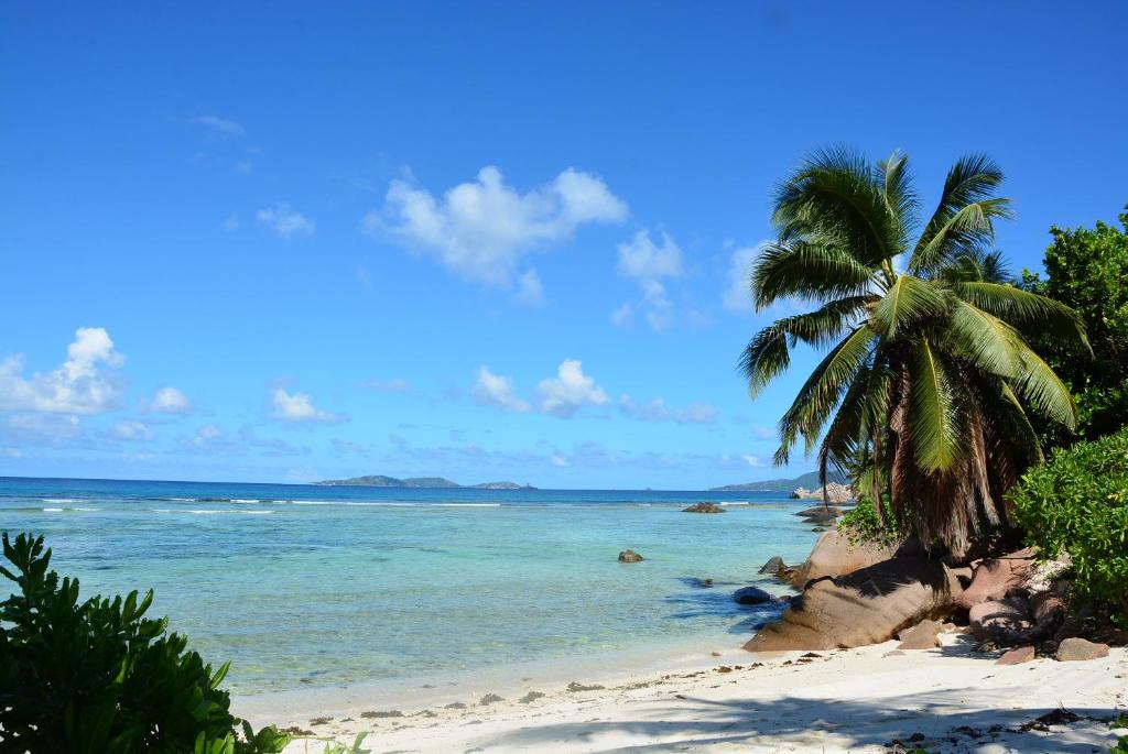 Villa Anse La Blague photo 1