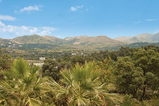 Salmakis Villas photo 2