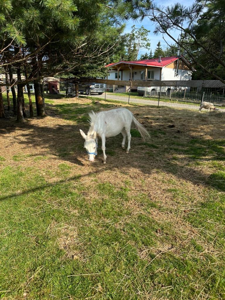 Liscombe Lodge Resort and Conference Centre - Tap to explore photos