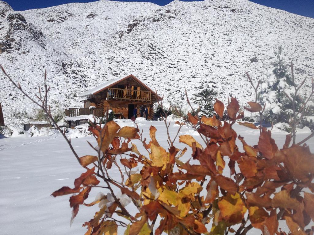 La Araucaria photo 2